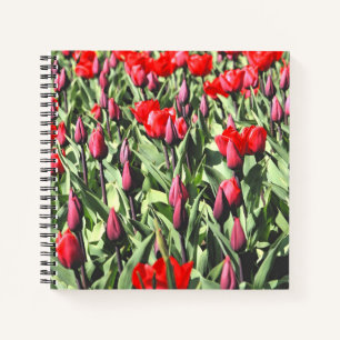 Rode tulpen notitieboek
