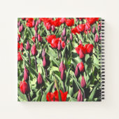 Rode tulpen notitieboek (Achterkant)