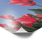 Rode tulpen onder zeer lage hoek, Cincinnati; Foto Afdruk (Hoek)