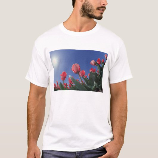 Rode tulpen onder zeer lage hoek, Cincinnati; T-shirt (Voorkant)