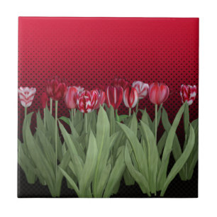 Rode Tulpen op gradiënt Tegeltje