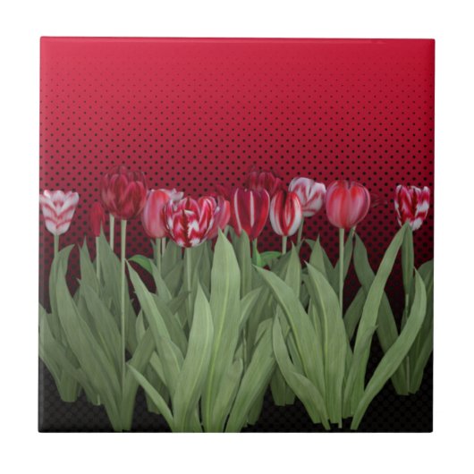 Rode Tulpen op gradiënt Tegeltje (Voorkant)