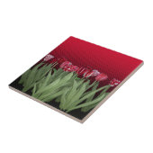 Rode Tulpen op gradiënt Tegeltje (Zijkant)