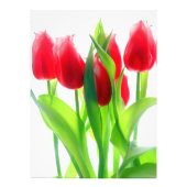 Rode tulpen op wit foto afdruk (Voorkant)