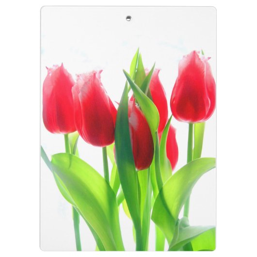 Rode tulpen op wit klembord (Achterkant)