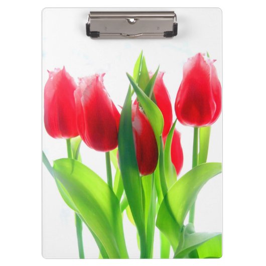 Rode tulpen op wit klembord (Voorkant)