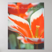 Rode tulpen poster (Voorkant)