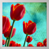Rode tulpen poster (Voorkant)
