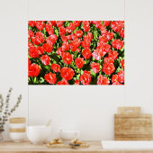 Rode tulpen poster (Keuken)