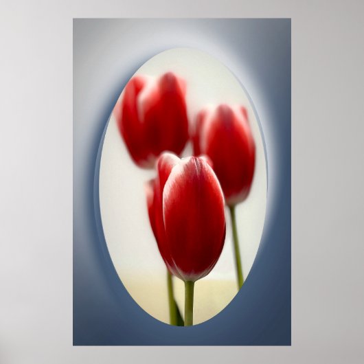 Rode tulpen poster (Voorkant)