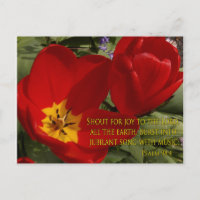 rode tulpen - psalm 98:4 briefkaart