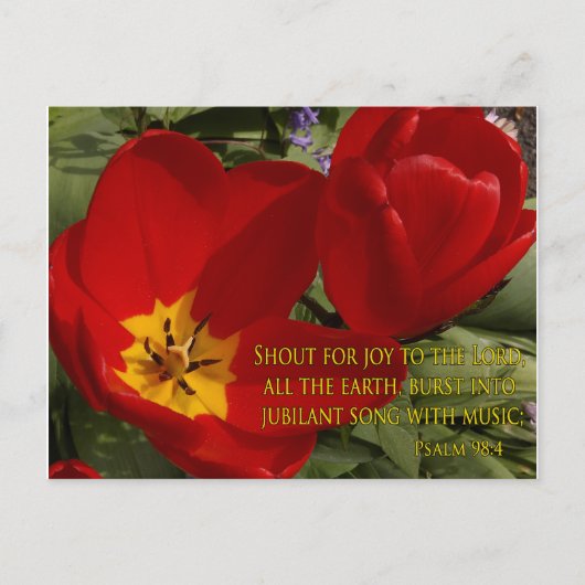 rode tulpen - psalm 98:4 briefkaart (Voorkant)
