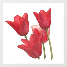 Rode tulpen raamsticker