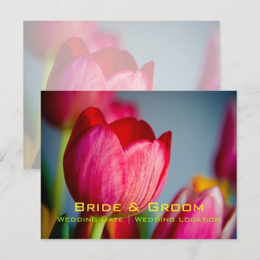 Rode Tulpen · Save the Date Briefkaart (Voorkant / Achterkant)