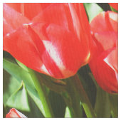 Rode tulpen stof (Close Up)