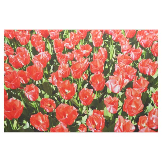 Rode tulpen stof (Yard (91,4 cm))