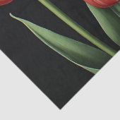 Rode tulpen tissuepapier (Detail)