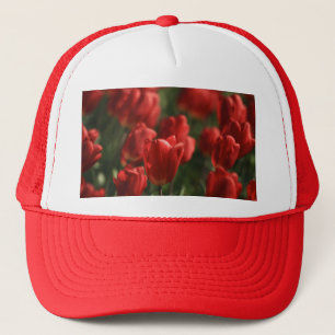 Rode tulpen trucker pet