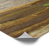 rode tulpen van bijthout poster (Hoek)