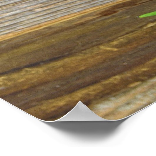 rode tulpen van bijthout poster (Hoek)