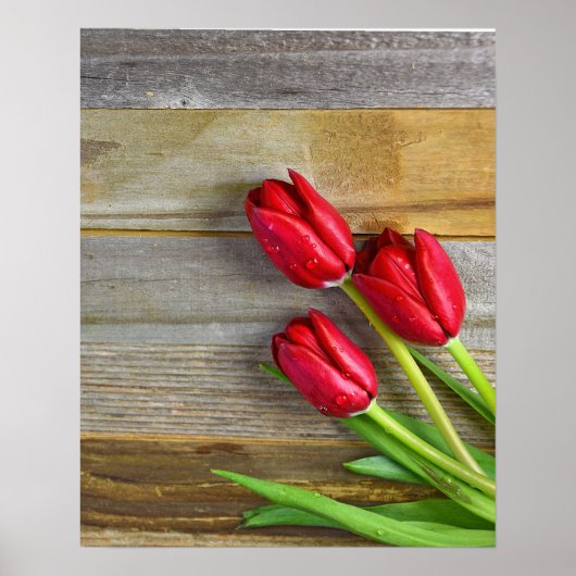 rode tulpen van bijthout poster (Voorkant)