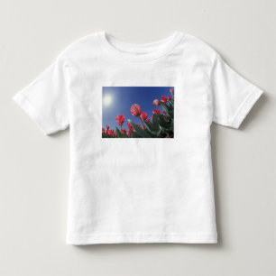 Rode tulpen vanuit een zeer lage hoek, Cincinnati, Kinder Shirts