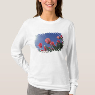 Rode tulpen vanuit een zeer lage hoek, Cincinnati, T-shirt