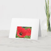 Rode Tulpen-Verjaardag Kaart (Achterkant)