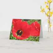 Rode Tulpen-Verjaardag Kaart (Gele Bloem)