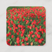 Rode tulpen vierkante visitekaartje (Voorkant)