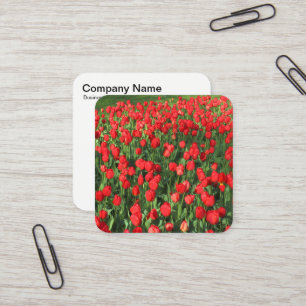 Rode tulpen vierkante visitekaartje