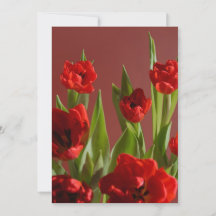 Rode tulpen “Wees mijn Valentijn?” Minimalistische