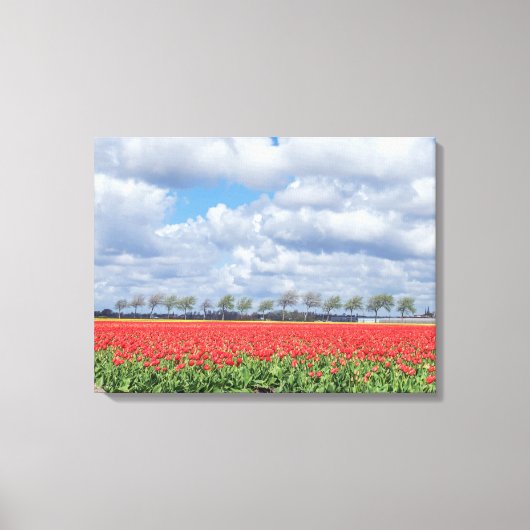 Rode tulpenvelden uitzicht canvas print (Voorkant)