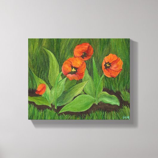 Rode Tulps met omhuld Canvas Afdruk (Voorkant)