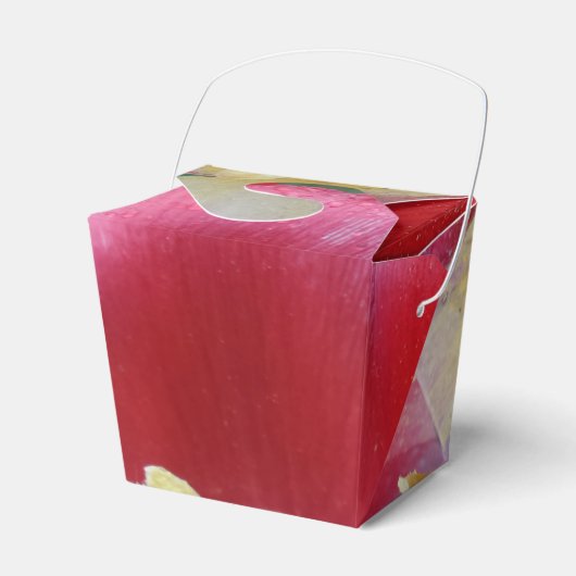 Rode Tulpventilator uit de voorverpakking Bedankdoosjes (Voorkant Zijde)