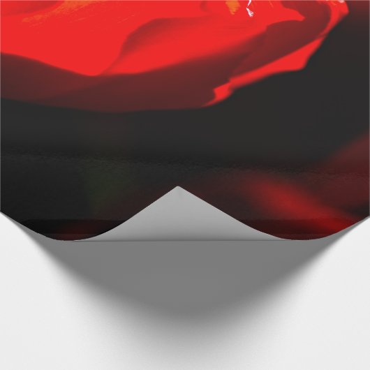 Rode Tulpventilator - Vuur Cadeaupapier (Hoek)