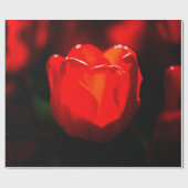 Rode Tulpventilator - Vuur Cadeaupapier (Vlak)