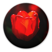 Rode Tulpventilator - Vuur Keramische Knop (Voorkant)