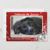 Rode Twinkling Stars Kerstmis Grote Fotokaarten Kaart (Voorkant)