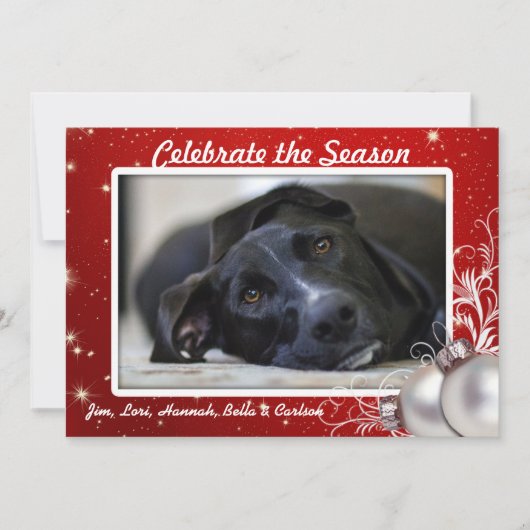 Rode Twinkling Stars Kerstmis Grote Fotokaarten Kaart (Voorkant)