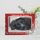 Rode Twinkling Stars Kerstmis Grote Fotokaarten Kaart (Staand voorkant)