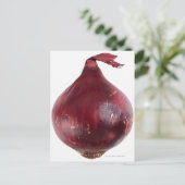 Rode ui geïsoleerd op witte achtergrond, DFF Briefkaart (Staand voorkant)