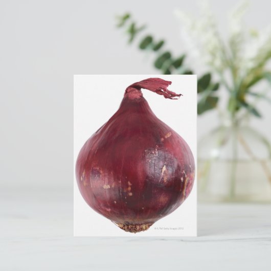 Rode ui geïsoleerd op witte achtergrond, DFF Briefkaart (Staand voorkant)