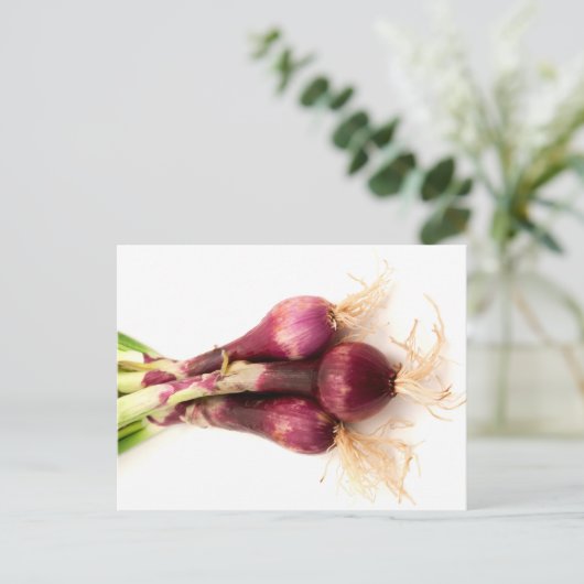 Rode uien briefkaart (Staand voorkant)