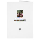 Rode uien op de landbouwers Aardappelmarkt Kaart (Achterkant)