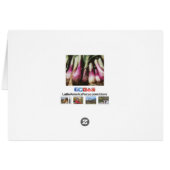 Rode uien op de landbouwers Aardappelmarkt Kaart (Achterkant Horizontaal)