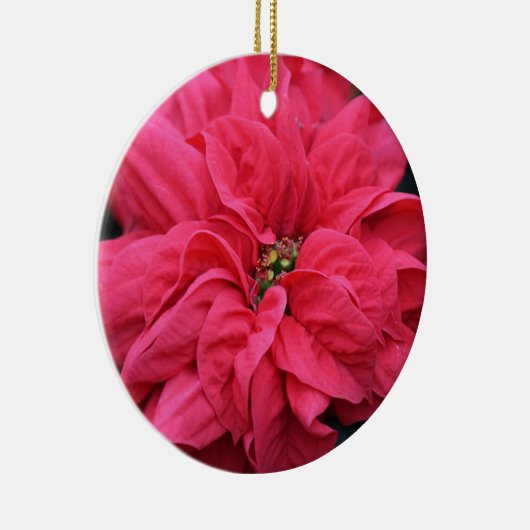 Rode Vakantie Poinsettia Ornament (Rechts)