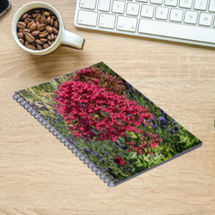 Rode Valeriaan Bloemen Bloemig Notitieboek