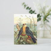 Rode valk briefkaart (Staand voorkant)