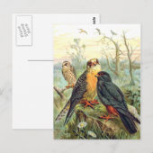 Rode valk briefkaart (Voorkant / Achterkant)